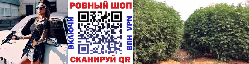 Купить наркотик Обоянь Гашиш  Кокаин  Альфа ПВП  Канабис  Меф мяу мяу 