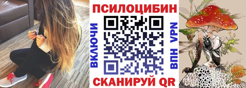 kraken ONION  закладка  Обоянь  Псилоцибиновые грибы Magic Shrooms 
